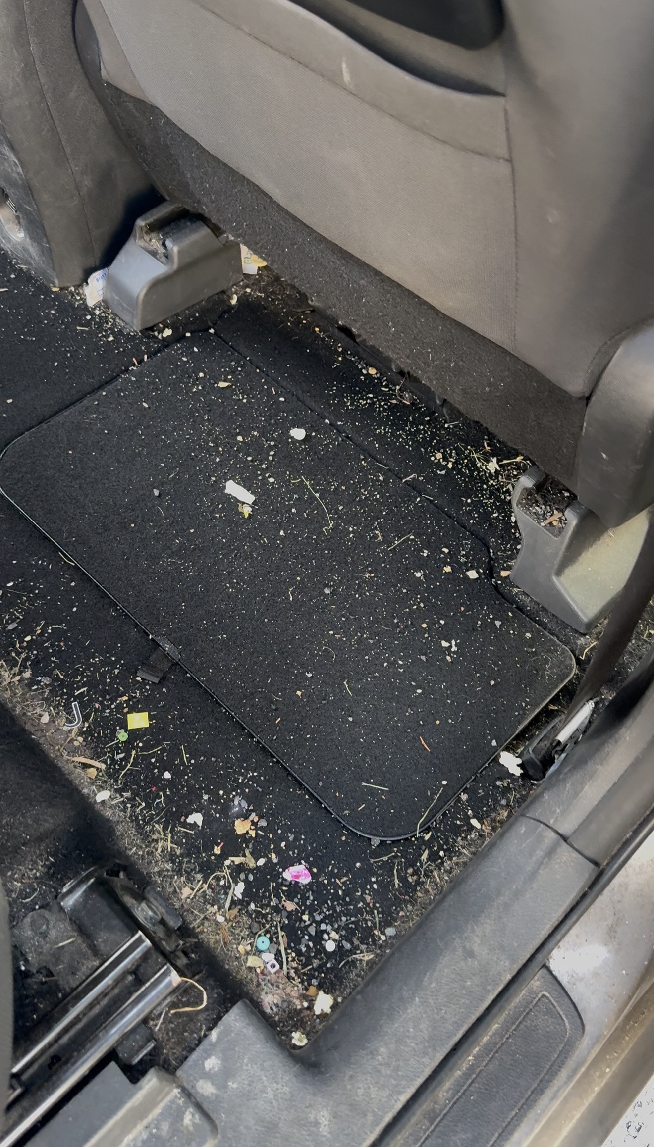 Interior before deep clean